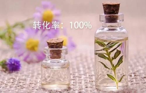 Vipon这样做转化率效果100%，亚马逊卖家值得一试！